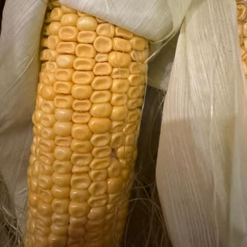 Migros Siparişimde Bozulmuş Ve Küflü Ürünler, Eksik Teslimat