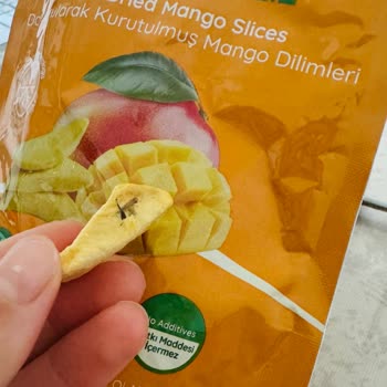 Mango Diliminde Siyah Böcek Görüldü Sağlık Ve Güven Endişesi