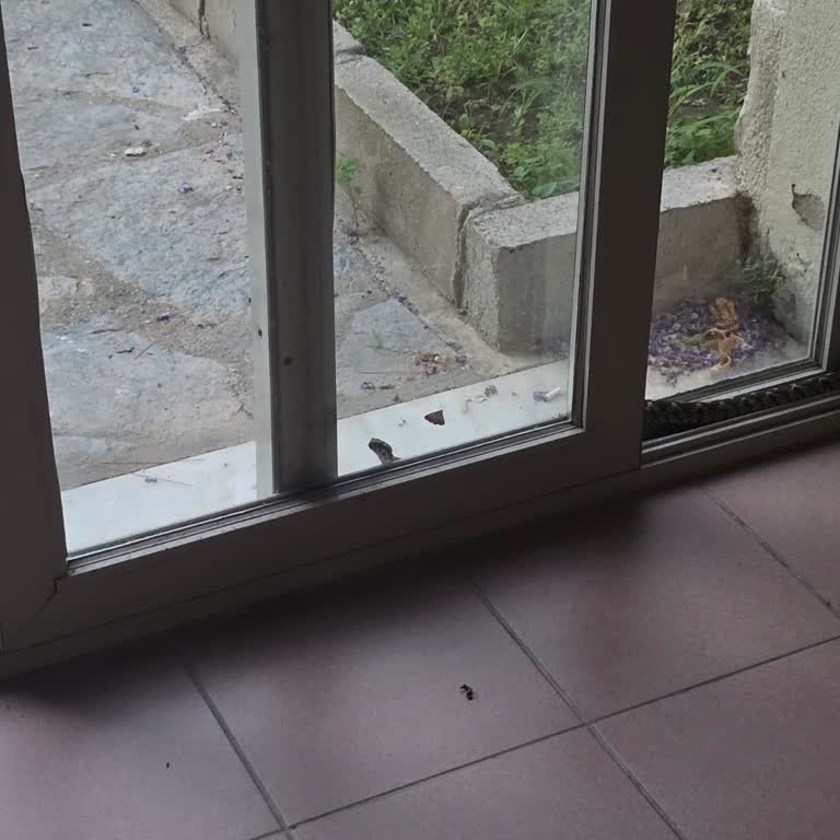Yılan Görülen Oda Güvenlik Endişesi Ve Çözüm Yok