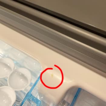 Ayıplı Bosch Buzdolabının İadesi Ve Ücretin Tam Geri Ödenmesi
