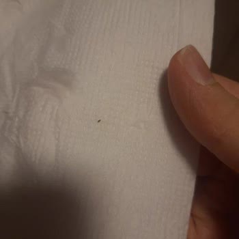Yemeksepeti'nde Yemekte Canlı Böcek Görüldü Ve İade Reddedildi