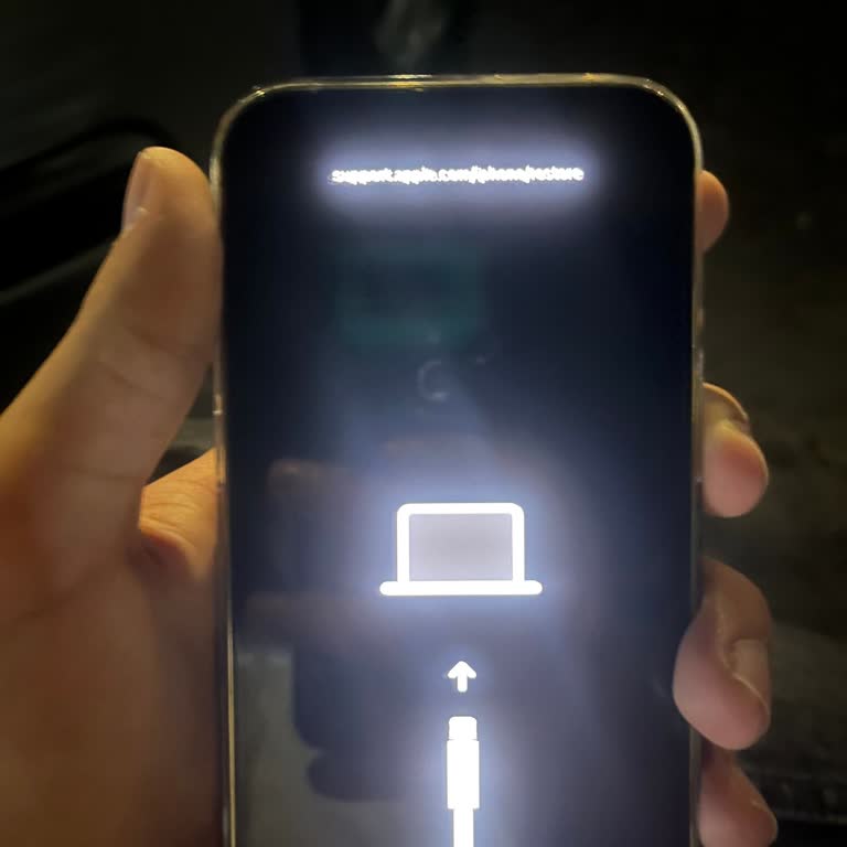 Satın Aldığım İPhone Tek Gün İçinde Arızalandı Ve Garanti Sürecinde Cevapsız Kaldım