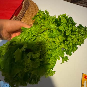 Bozuk Meyve Sebzeler Ve Hatalı Pil Gönderimi Nedeniyle Tam Ücret İadesi Talebi