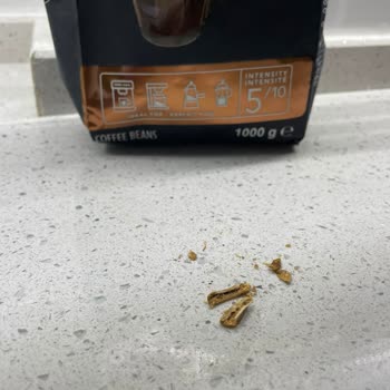 Lavazza Çekirdek Kahvede Kemik Benzeri Yabancı Madde