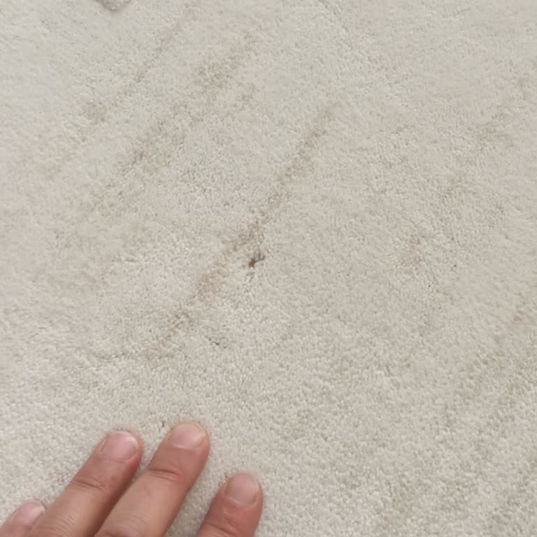Kalitesiz Halı Seti, Aşırı Tüy Dökülmesi Ve Kayma Sorunları