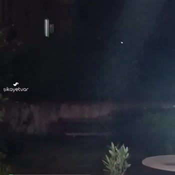 Ayvalık Belediyesi Çamlığı Domuzlar Bastı Sokağa Çıkamıyoruz!