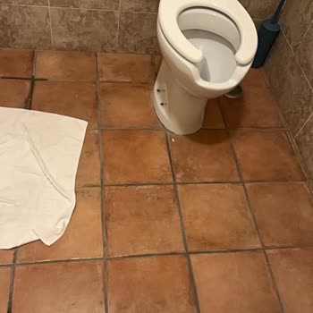 Rehberin Yetersizliği Ve Tur Şirketi Karışıklığı