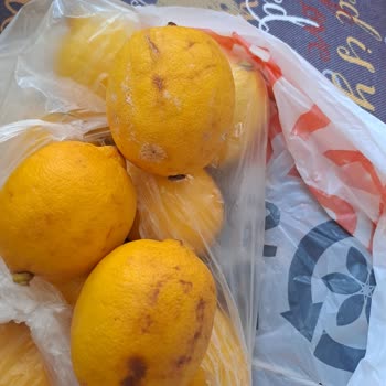 Sipariş Notu Göz Ardı Edildi: Migros'tan Bozulmuş Sebze Ve Meyveler