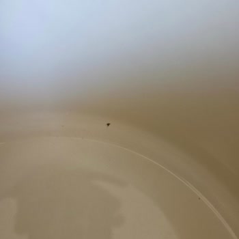 Emaye Tencerenin Hızlı Bozulması Ve Ürün Değişimi Talebi