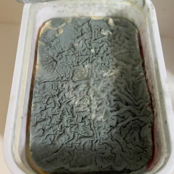 Küflü Süzme Peyniri Sağlık Riski Ve Raf Kontrolü İhlali