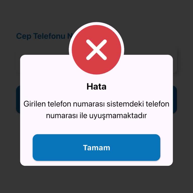 Sistemsel Telefon Numarası Hatası Doğalgaz Abonelik Başvurusunu Engelliyor