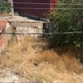 Karabağlar Belediyesi Kurumuş Otları Temizlemeli!