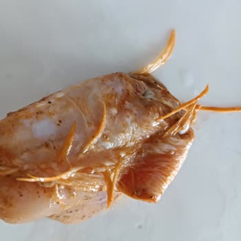 Hijyenik Olmayan Tavuk Kanatları İçin İade Ve Özür Talebi