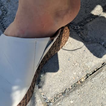 Kusurlu Terlik Ve Kırık Ayakkabı İçin Haksız Kargo Ücreti Talebi