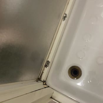 Kirli Ve Eski Oda, Oda Değişikliği Reddi Ve Kaba Personel