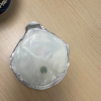Süresi Geçmemiş Quark Ürünü Küflendi, Geri Ödeme İstiyorum