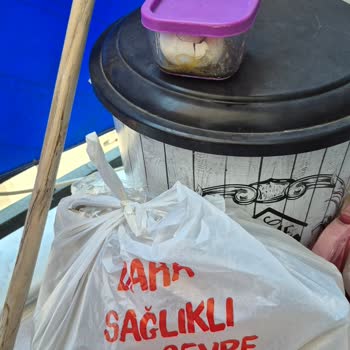 Kokmuş Ve Bozulmuş Yumurta Satışı, İade Ve Özür Talebi
