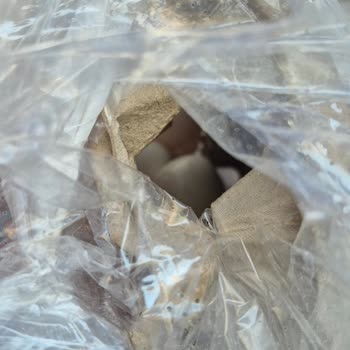 Kokmuş Ve Bozulmuş Yumurta Satışı, İade Ve Özür Talebi
