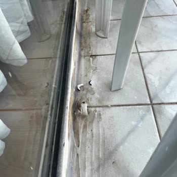 Temizlik Ve Personel İlgisizliği Nedeniyle Oda Tesliminde Gecikme Ve Kirlilik