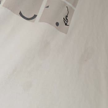 Hoover Kurutma Makinesinde Yağ Lekesi Problemi Ve Ayıpsız Değişim Talebi