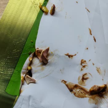 Dişime Gelen Kabuklu Antep Fıstığıyla Çikolata Tüketiminde Sağlık Ve Güvenlik Sorunu