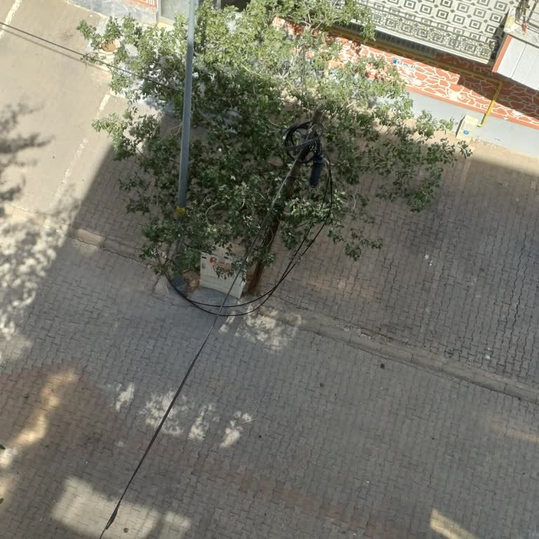 TürkNet İnternet Kesintisi Kırık Kablolar Nedeniyle İş Kaybı Ve Acil Onarım