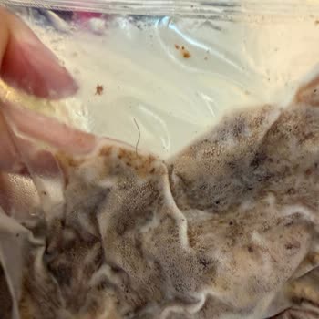 Sait Döner Çözüm Odaklı Bir Dönüş Alamadım