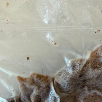 Sait Döner Çözüm Odaklı Bir Dönüş Alamadım
