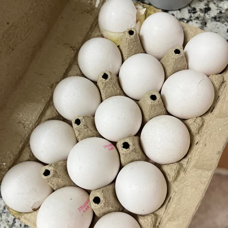Kırık Yumurtalar Tek Başına Alındı, Yenisi Getirilmedi