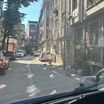 Mahalle Sokakları Ve Kaldırımlarındaki İzinsiz Engeller İçin Acil Belediye Müdahalesi Talebi