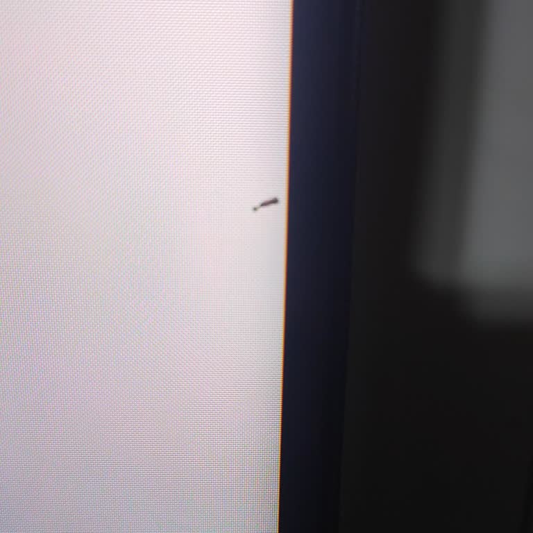 Samsung TV'de Siyah Piksel Sorunu Ve Yetkili Servis Gecikmesi