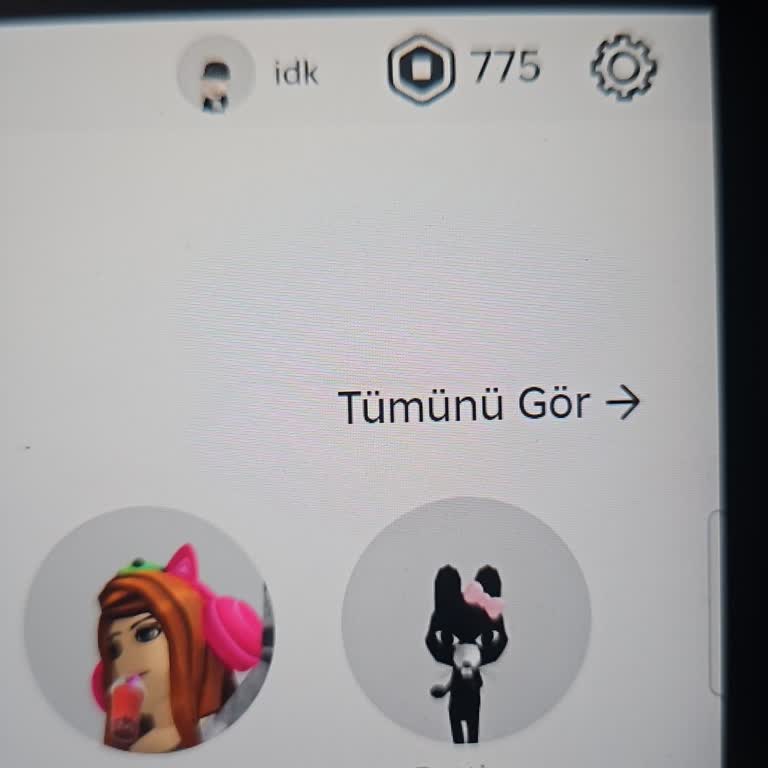 Satın Alınan Robux’ta 425 Eksik Yükleme Ve İade Talebi
