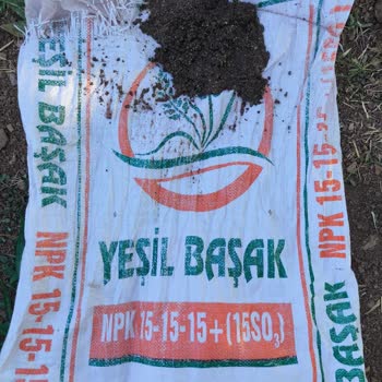 Yeşil Başak Gübreden Kum Çıktı