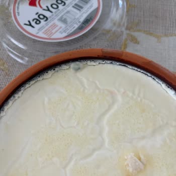 Kaymak Aşkı Yağ Yoğurdu Küflü Çıktı: Sağlık Güvenliği İçin Acil İnceleme Talebi