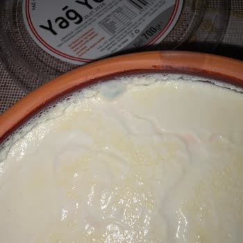 Kaymak Aşkı Yağ Yoğurdu Küflü Çıktı: Sağlık Güvenliği İçin Acil İnceleme Talebi