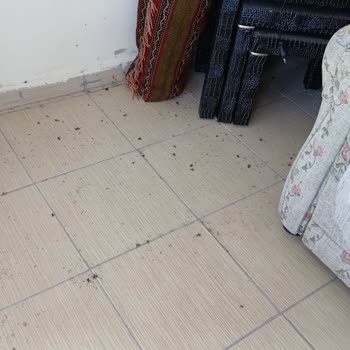 Detay Temizlik | Karaman Evimizin Söz Verildiği Şekilde Tekrar Eksiksiz Temizlenmesi