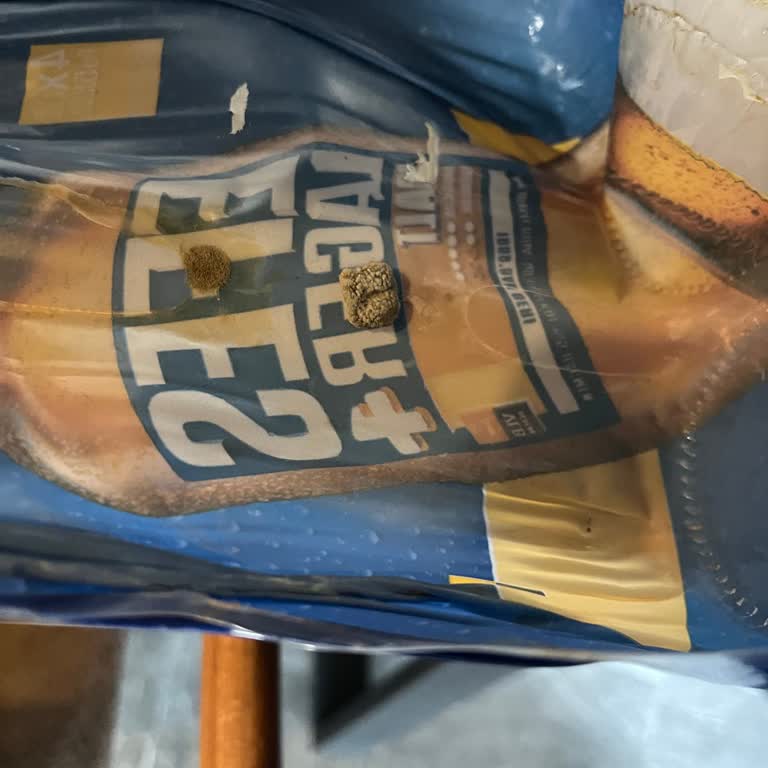 Küflü Ve Yıpranmış Efes Pilsen Malt Bira Satışı Hijyen İhlali