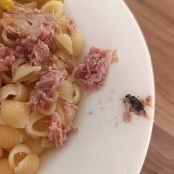Dardanel Ton Balığı Konservesinde Yabancı Cisim Bulundu