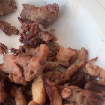 Köfteci Yusuf Mudanya Şubesi – Dönerin İçinden Yabancı Madde Çıktı