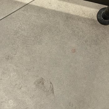 İzmir Aydın Yolu Bademci Opet İstasyonunda Tuvalet Hijyen Sorunu