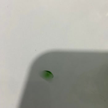 Sarıkız Elmalı Maden Suyunda Cam Parçası Bulundu