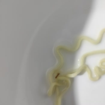 İndomie Noodle’da Kurtlar Çıktı: Güvenim Sarsıldı