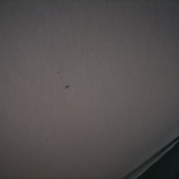 Oto Çadırcı Enes Gelen Ürün Yırtık, Defolu Ve Lekeli Çıktı