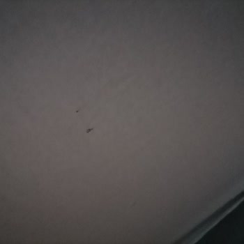 Oto Çadırcı Enes Gelen Ürün Yırtık, Defolu Ve Lekeli Çıktı