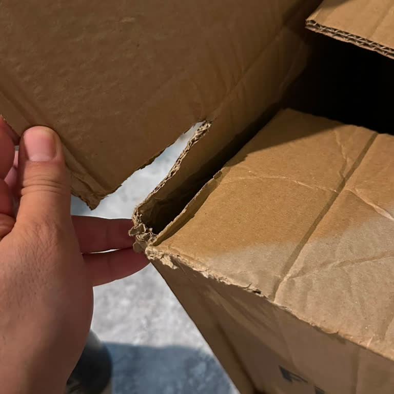 DHL Teslimindeki Eksik Reflex Creapure Creatine Ve Hasarlı Kargo Üzerine Şikayet