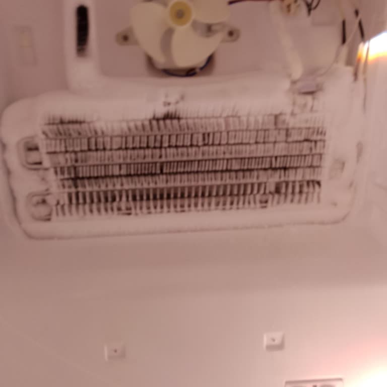 Vestel Servisinin Yanıltıcı Gaz Kaçağı İddiası Ve Ek Ücret Talepleri