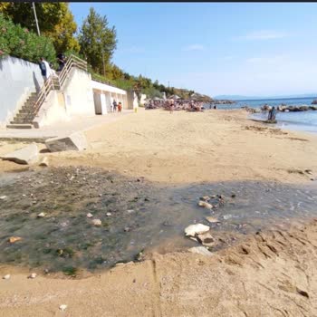 Aşırı Gürültü Ve Yönetimin Çözüm Yoksunluğu