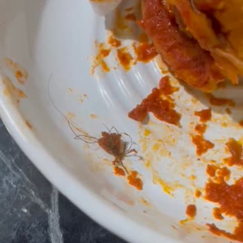 BİM'ün Hijyen Skandalı: Hamburgerde Kıl Ve Et Eksikliği