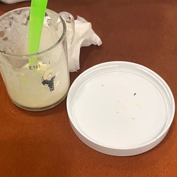 Bebek Mamasında Böcek Görülmesi Sağlık Ve Hijyen İhlali