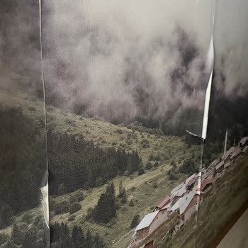 Patulya Hotel Oda Ve Banyo Koşulları Nedeniyle Ciddi Bir Mağduriyet Yaşadım